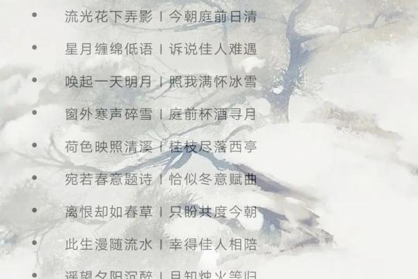 从古诗词到现代风格，学校名字的创意无限