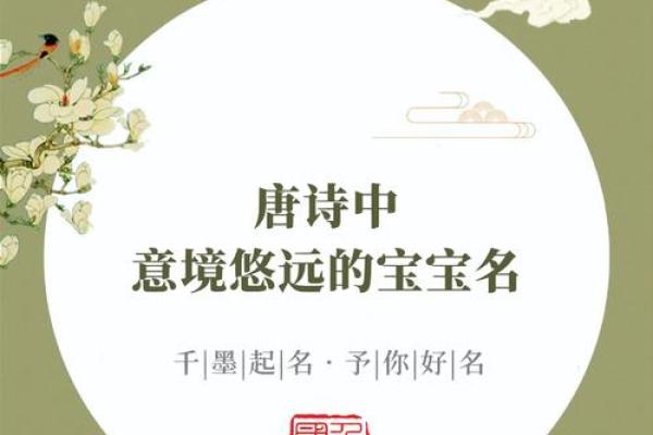 从古诗词到现代风格，学校名字的创意无限