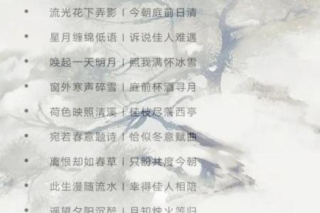 从古诗词到现代风格，学校名字的创意无限