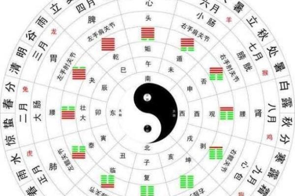 生肖八卦揭秘：揭秘十二生肖背后的神秘力量