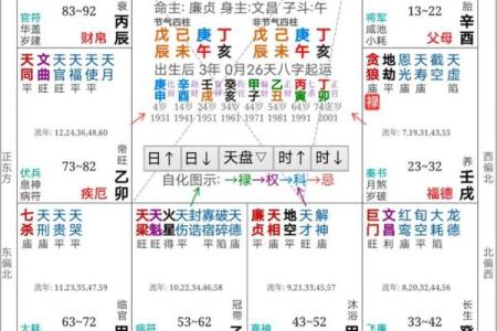 在线紫薇排盘，元亨利贞为你解析人生运势！