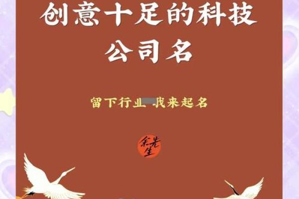 起个有创意的名字，助力网络技术公司快速成长