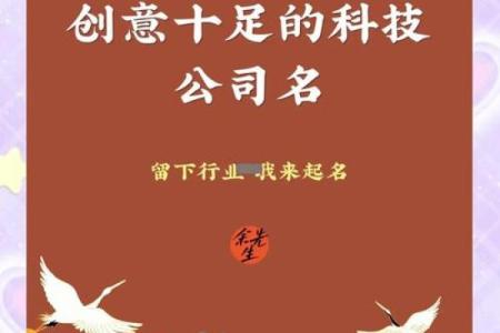 起个有创意的名字，助力网络技术公司快速成长