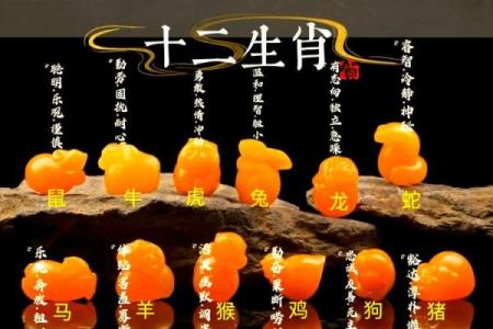 冷漠生肖：揭秘十二生肖中的冰山王者