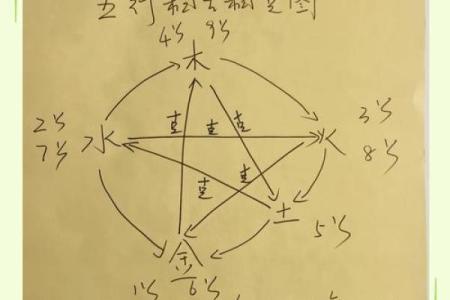 乙五行属性大揭秘，带你了解更多知识