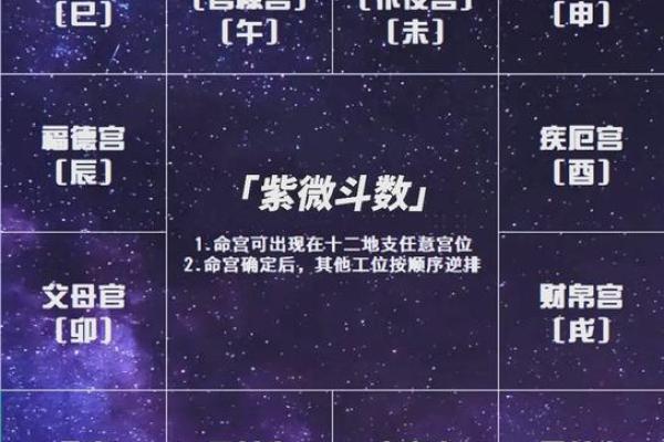 紫薇斗数流月排盘全解析，运势变化提前预知