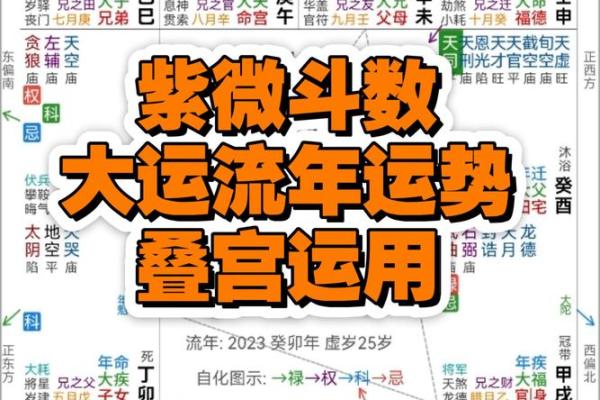紫薇流月排盘技巧：让你轻松洞察未来运势走势
