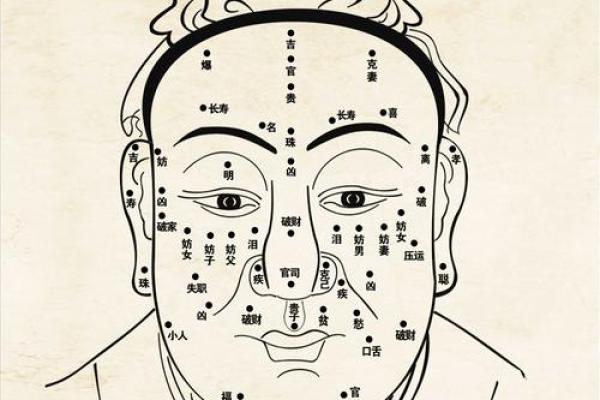 识人于面：揭秘面相背后的风水奥秘，助你洞悉人生运势