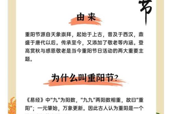 525狂欢日：揭秘全民热爱的神秘节日习俗