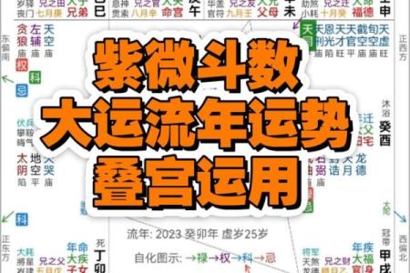 紫薇流月排盘技巧：让你轻松洞察未来运势走势