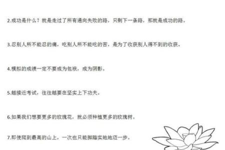 善缘命理大师：用命理智慧引领你走向成功之路