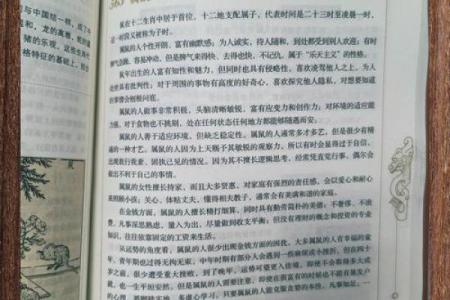 面相解码：一眼洞察你的未来运势