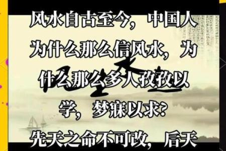 识人于面：揭秘面相背后的风水奥秘，助你洞悉人生运势