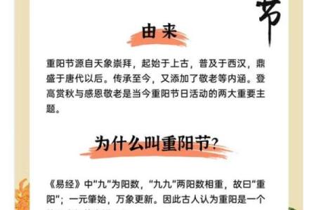 525狂欢日：揭秘全民热爱的神秘节日习俗