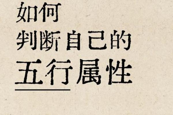 创五行到底是哪个属性？了解它对你人生的影响