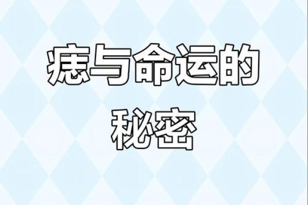 痣相传奇：跟随痣相见证人生起伏