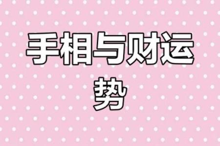 手相奥秘：一册在手，财运亨通，运势翻倍