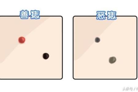 痣相传奇：跟随痣相见证人生起伏