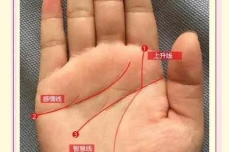 一握定终身：揭秘手相松握背后的惊人秘密
