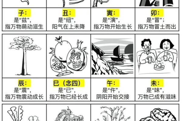 一文了解天干地支：天干到底有多少个？