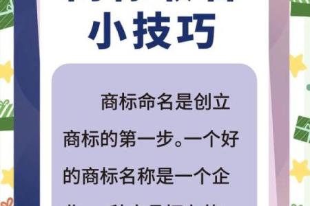 选一个洋气名字，让你的公司脱颖而出
