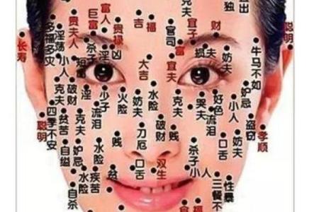 扇风耳揭秘：揭秘面相中的财富运势