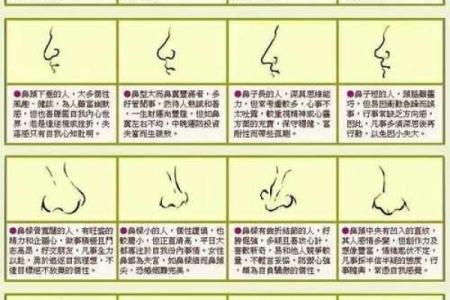 面相大师揭秘：五官间的风水奥秘，改运从此开始