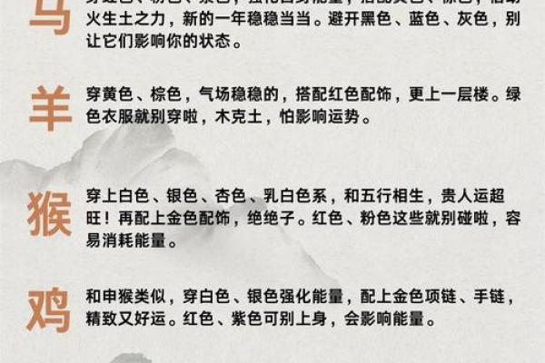 生肖美食大揭秘：吃出你的生肖运势