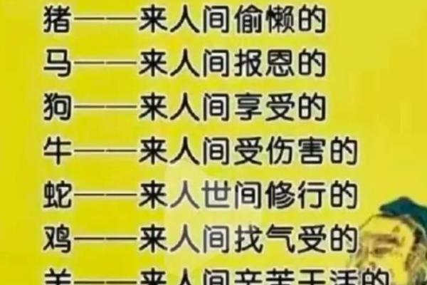 十二生肖，前生注定，后福无限