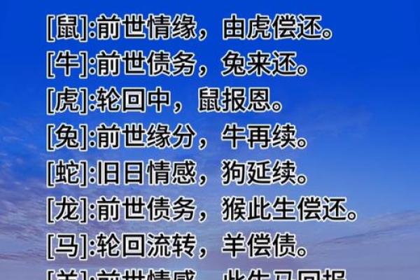 十二生肖，前生注定，后福无限