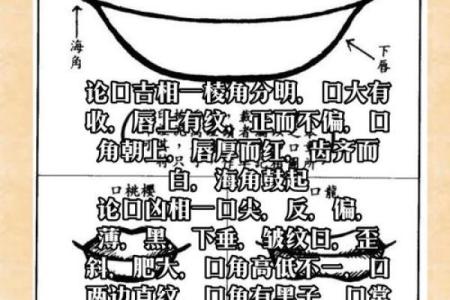面相识人：揭秘古代面相学的神奇奥秘