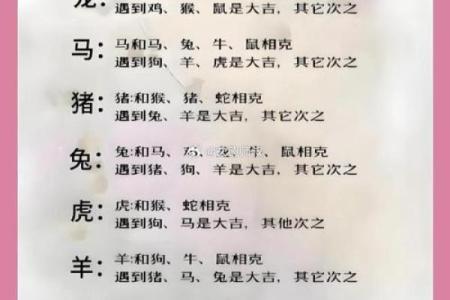 十二生肖大揭秘：揭秘每个生肖的禁忌与破解之道