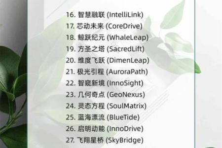 网络科技公司起名攻略，助你开创成功之路
