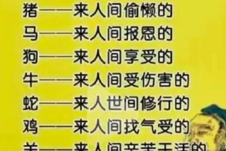十二生肖，前生注定，后福无限