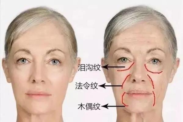 颈纹深藏智慧，揭秘面相中的不老秘籍