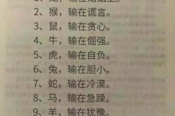 属鼠属马情侣必看：揭秘他们之间的神奇相配之谜