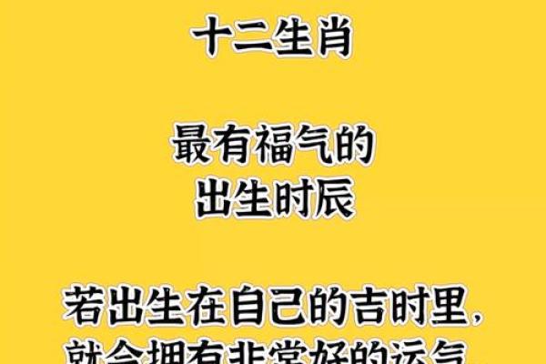 生肖时辰秘境：十二生肖十二时辰传奇