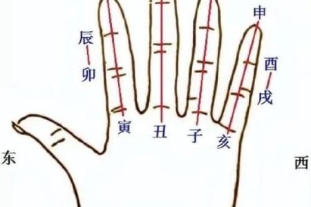 孕期手相秘术：一招辨男女，准到让你惊叹