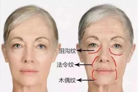 颈纹深藏智慧，揭秘面相中的不老秘籍