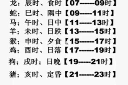 生肖时辰秘境：十二生肖十二时辰传奇