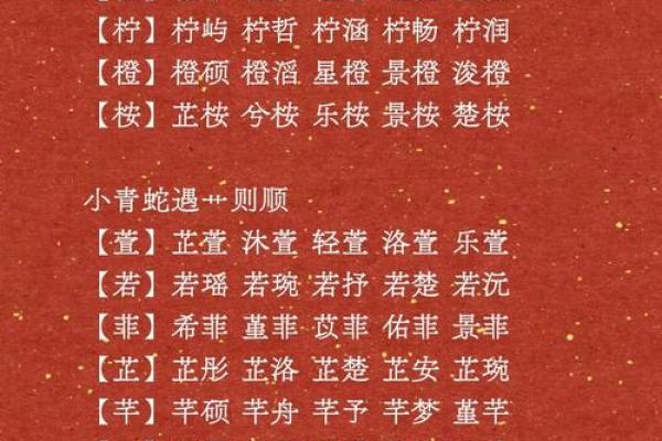 青字起名技巧：带你走进充满诗意与智慧的命名世界