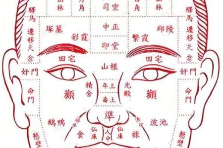 痣相杀子：面相学中的禁忌秘密大揭秘
