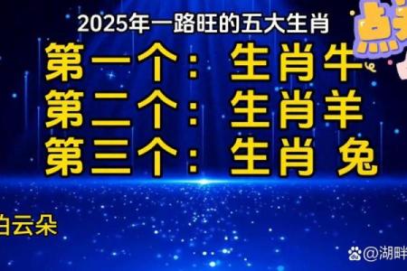 揭秘新猜生肖，哪个是你的幸运符？