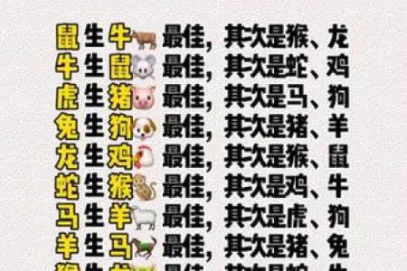 日肖揭秘：揭秘十二生肖中的神秘日肖