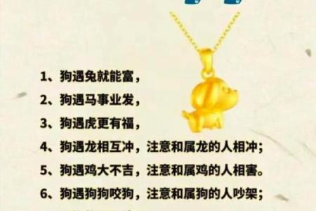 生肖情缘：87兔94狗，能否牵手？
