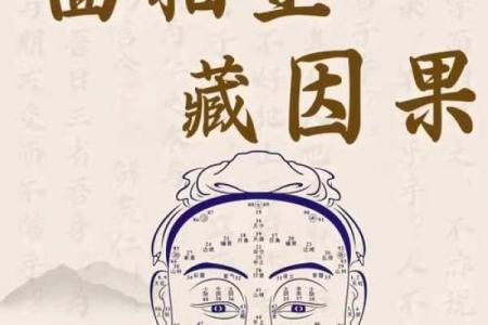 面相解析：揭秘面相背后的运势秘密
