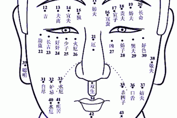 痣相图解大全：看脸识命运，面部痣相解读手册