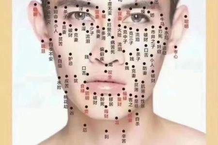 痣相图解大全：看脸识命运，面部痣相解读手册