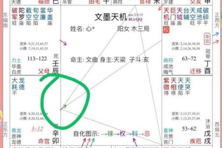 紫微排盘解析：揭示你今年的命运走向