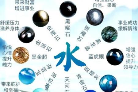 燕的五行属性解析：如何影响命运与性格